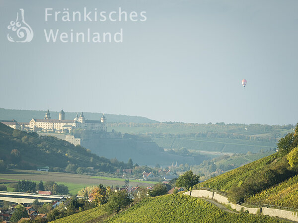 Blick von den Weinbergen zur Festung Marienberg