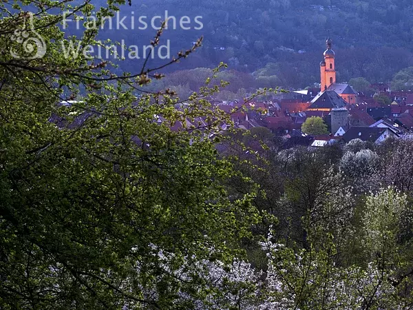 Blick auf Eibelstadt