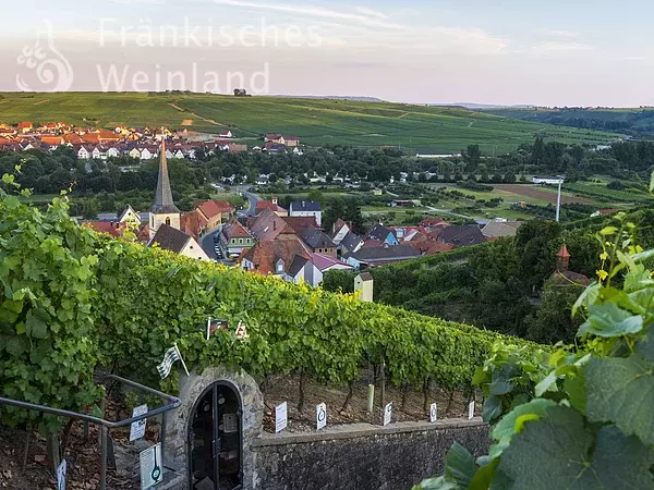 Blick auf Escherndorf und Nordheim am Main