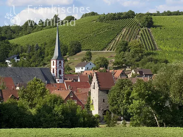 Blick auf Frickenhausen a. Main