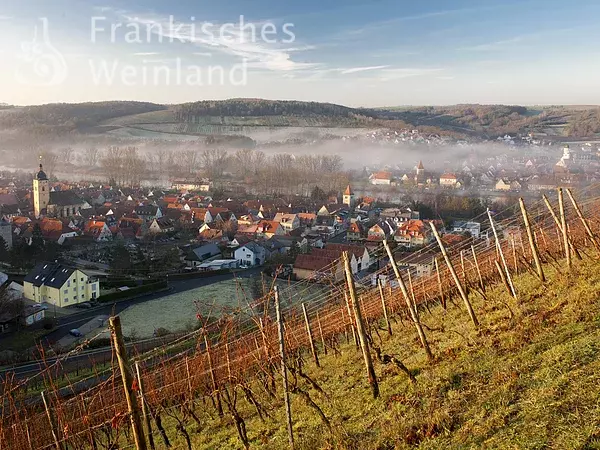 Blick auf Sommerhausen