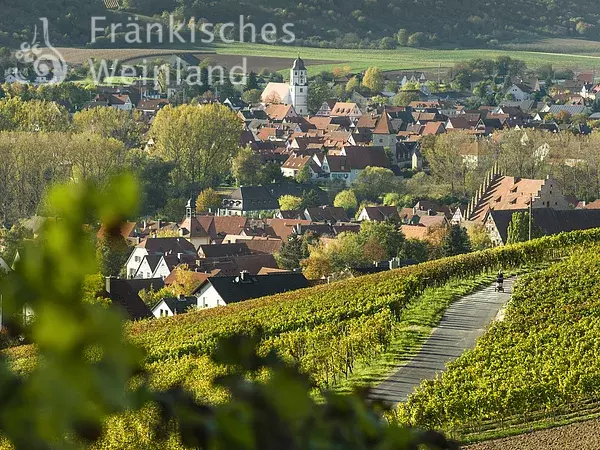 Blick auf Sommerhausen