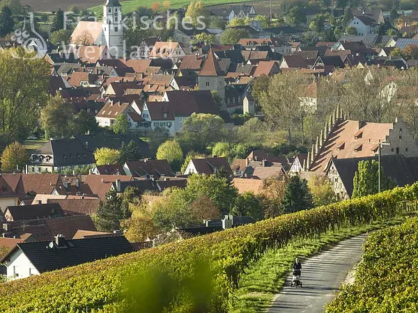 Blick auf Sommerhausen