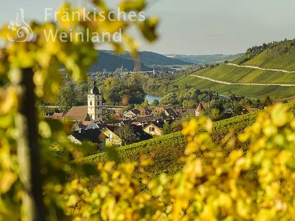 Blick auf Sommerhausen und Eibelstadt