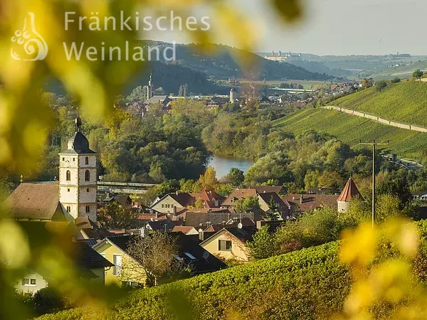 Blick auf Sommerhausen und Eibelstadt