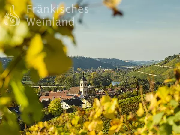 Blick auf Sommerhausen und Eibelstadt