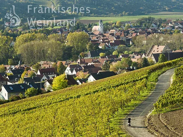 Blick auf Sommerhausen und Winterhausen