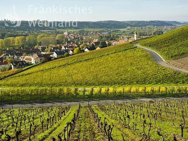 Blick auf Sommerhausen und Winterhausen