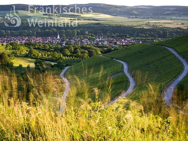 Blick auf Thüngersheim