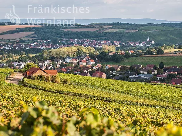 Blick auf Wipfeld