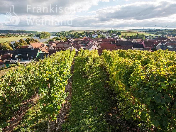 Blick auf Wipfeld