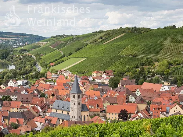 Blick über Weinberge auf Randersacker