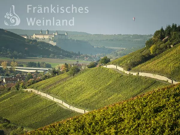 Blick von den Weinbergen auf die Festung Marienberg