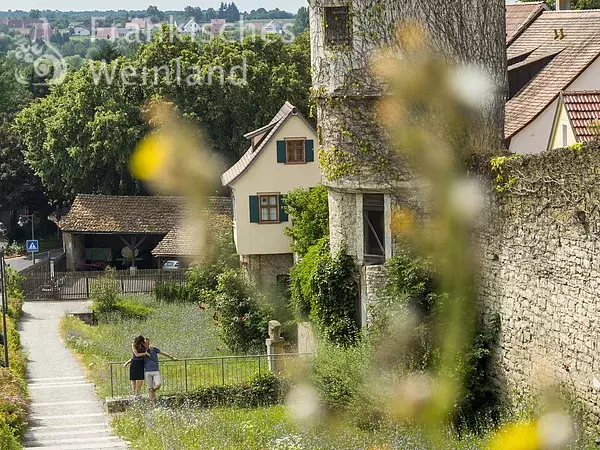 Dettelbach Stadtmauer