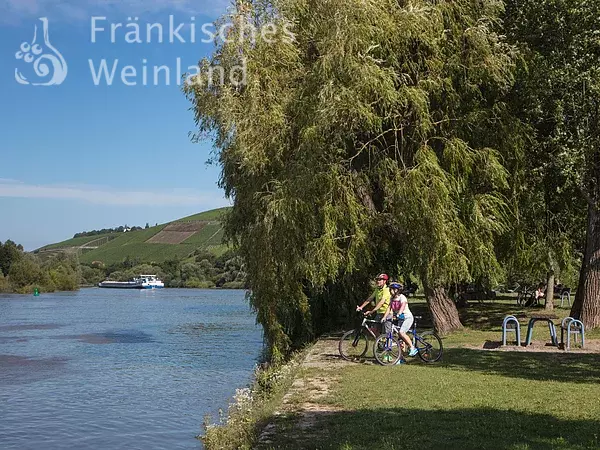 Mainradweg bei Randersacker