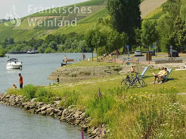 Main Radweg bei Randersacker