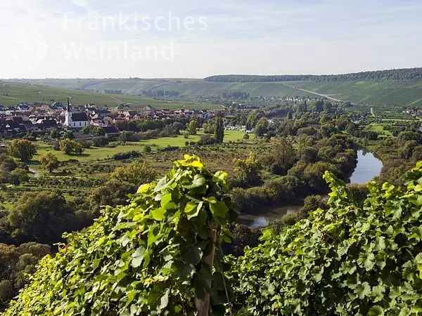 Mainschleife mit Blick auf Nordheim