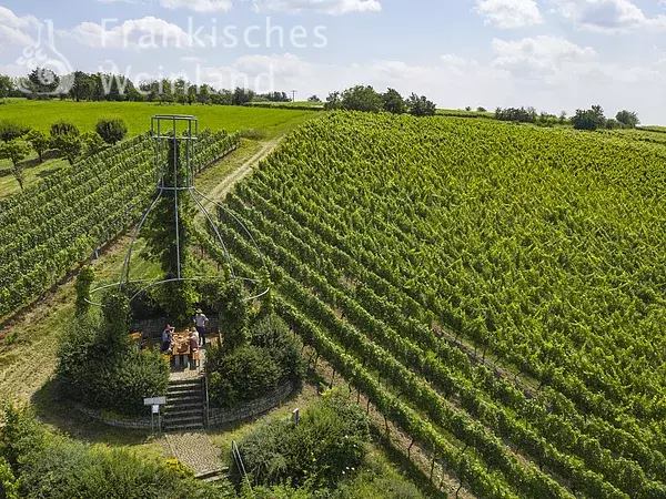 In den Weinbergen bei Stammheim