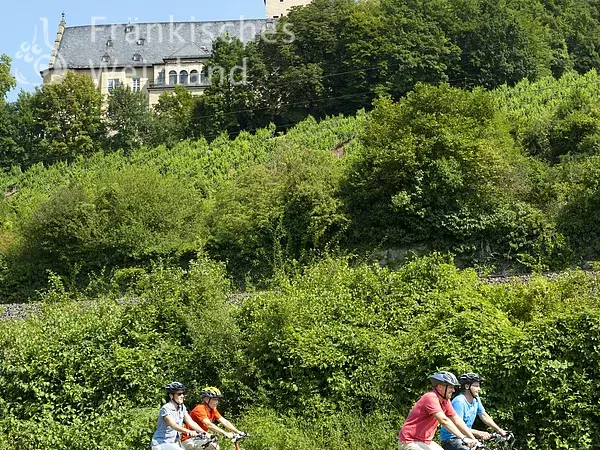 Radfahren am Main Radweg