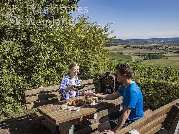 Picknick im Weinberg