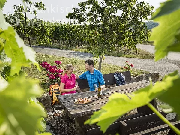 Rast in den Weinbergen