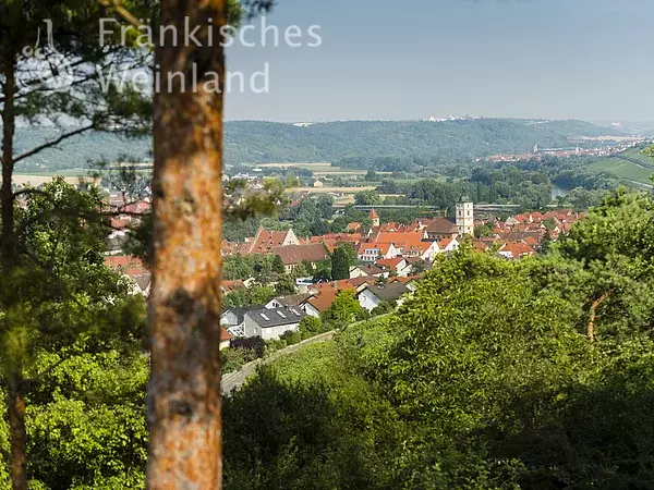 Terroir F - Blick nach Sommerhausen