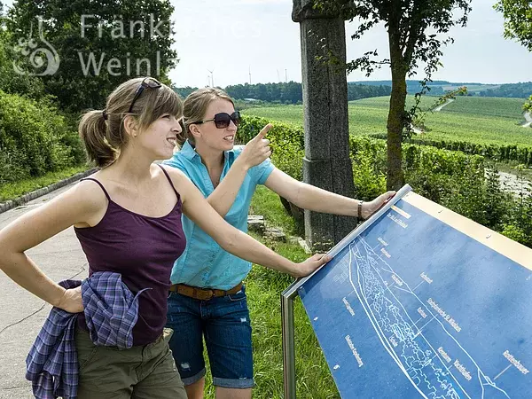 Wandern in den Weinbergen