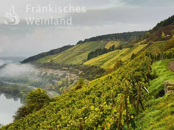 Weinberge bei Retzbach