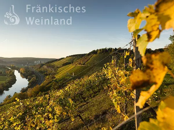 Weinberge bei Retzbach