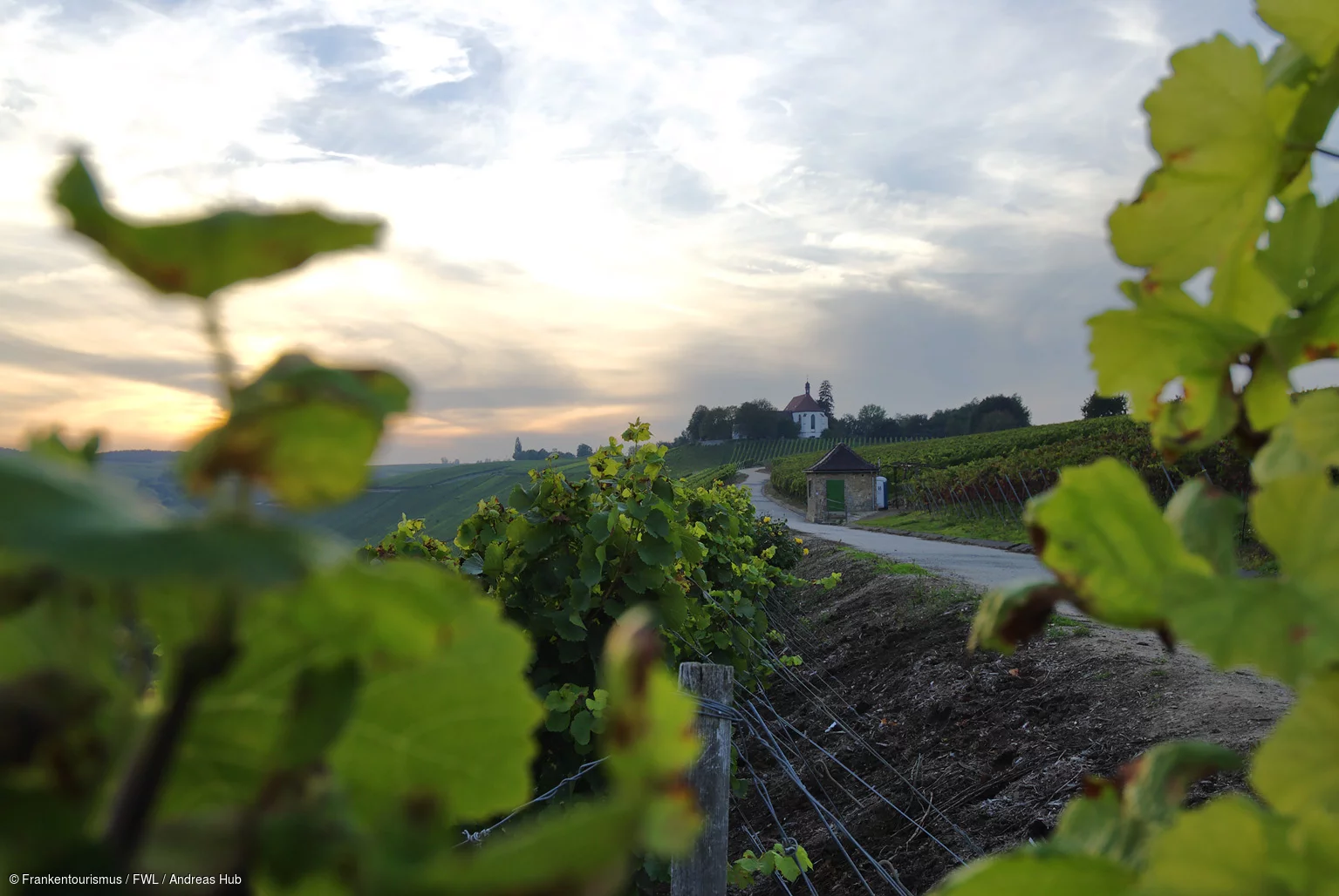 Abendstimmung bei der Vogelsburg, Volkach