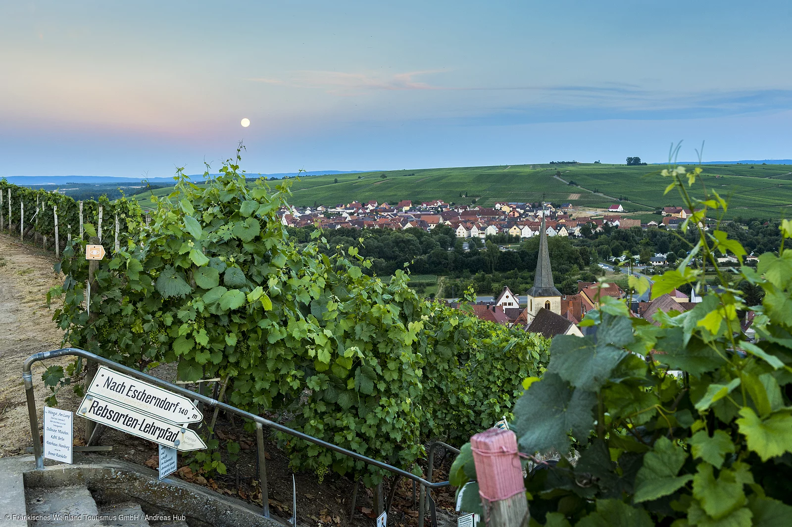 Blick auf Escherndorf und Nordheim am Main