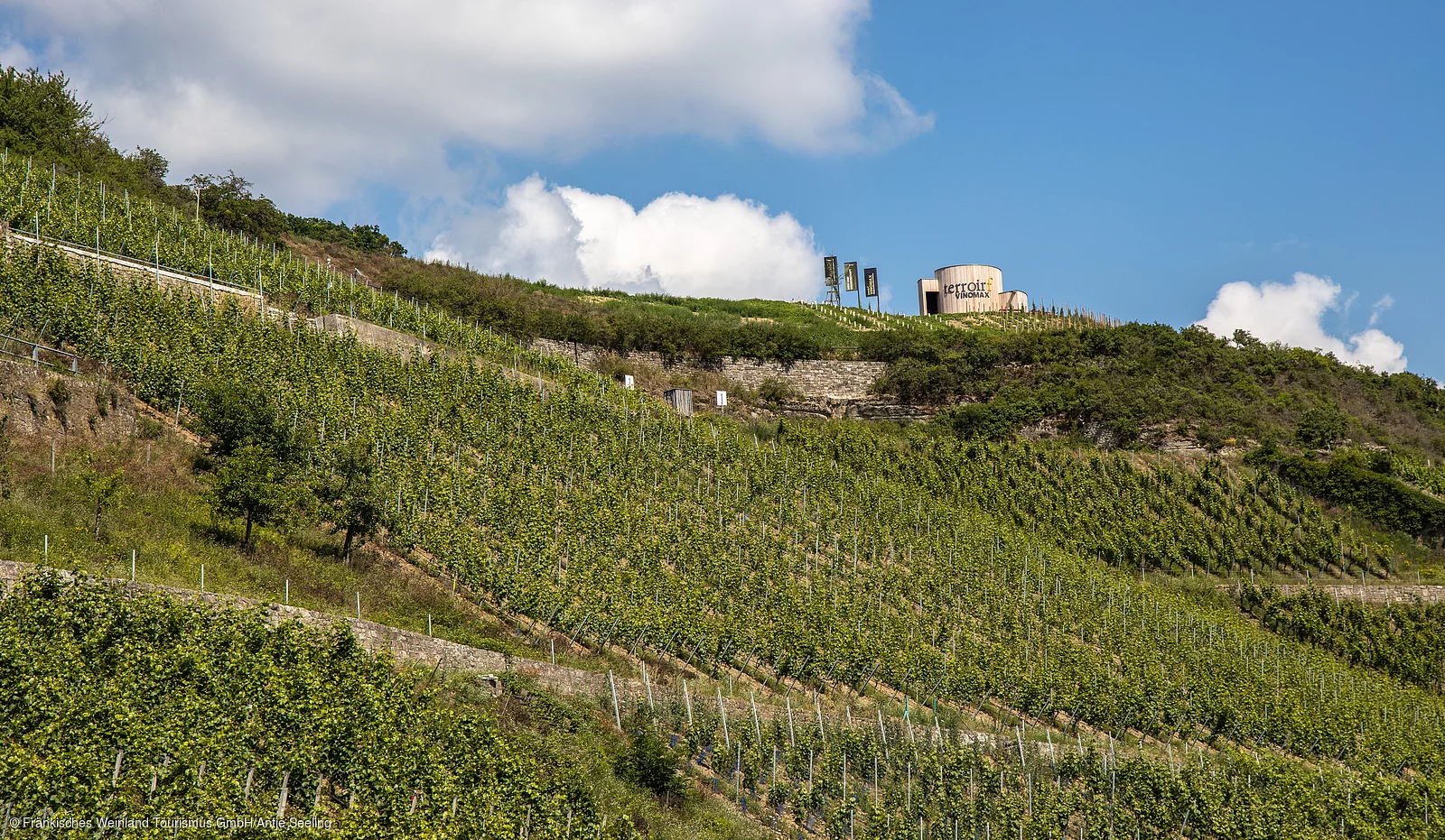 terroir f Thüngersheim