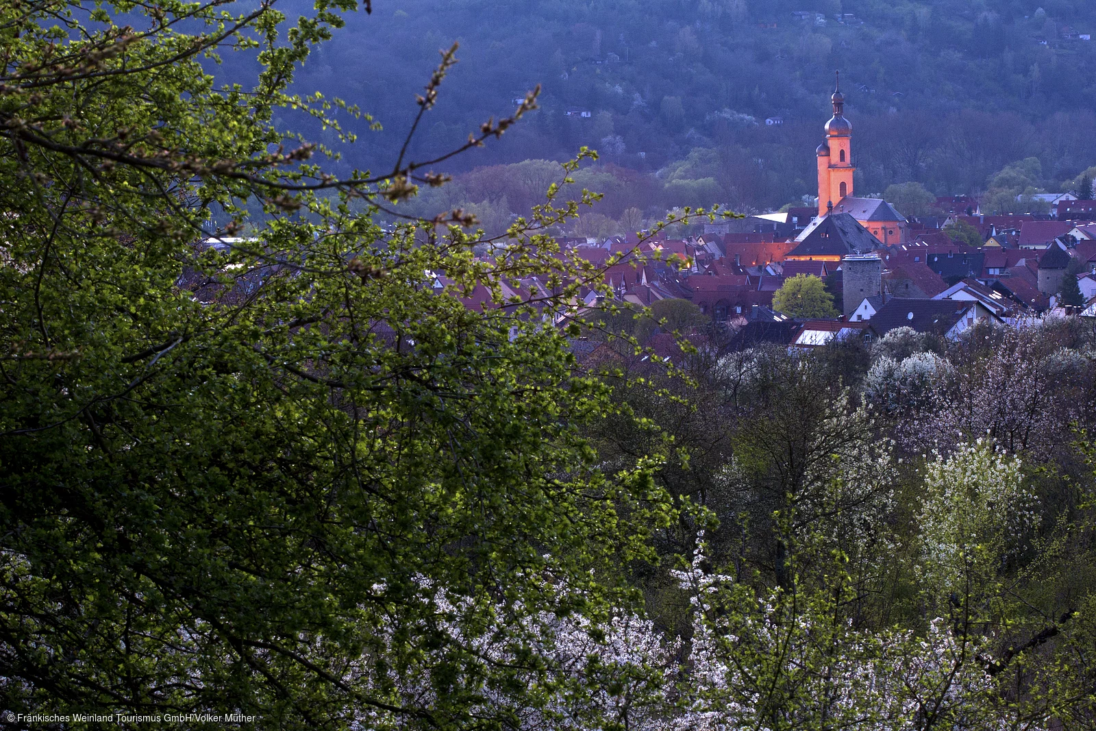 Blick auf Eibelstadt