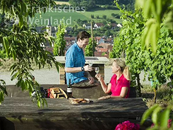 Rast in den Weinbergen