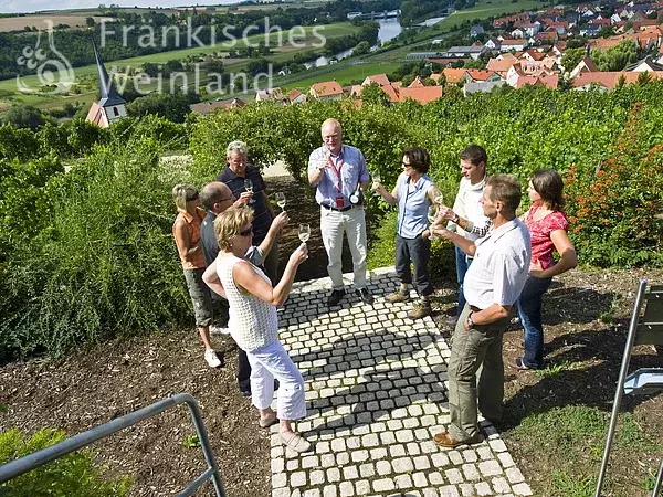 Gästeführung Weinerlebnis Franken