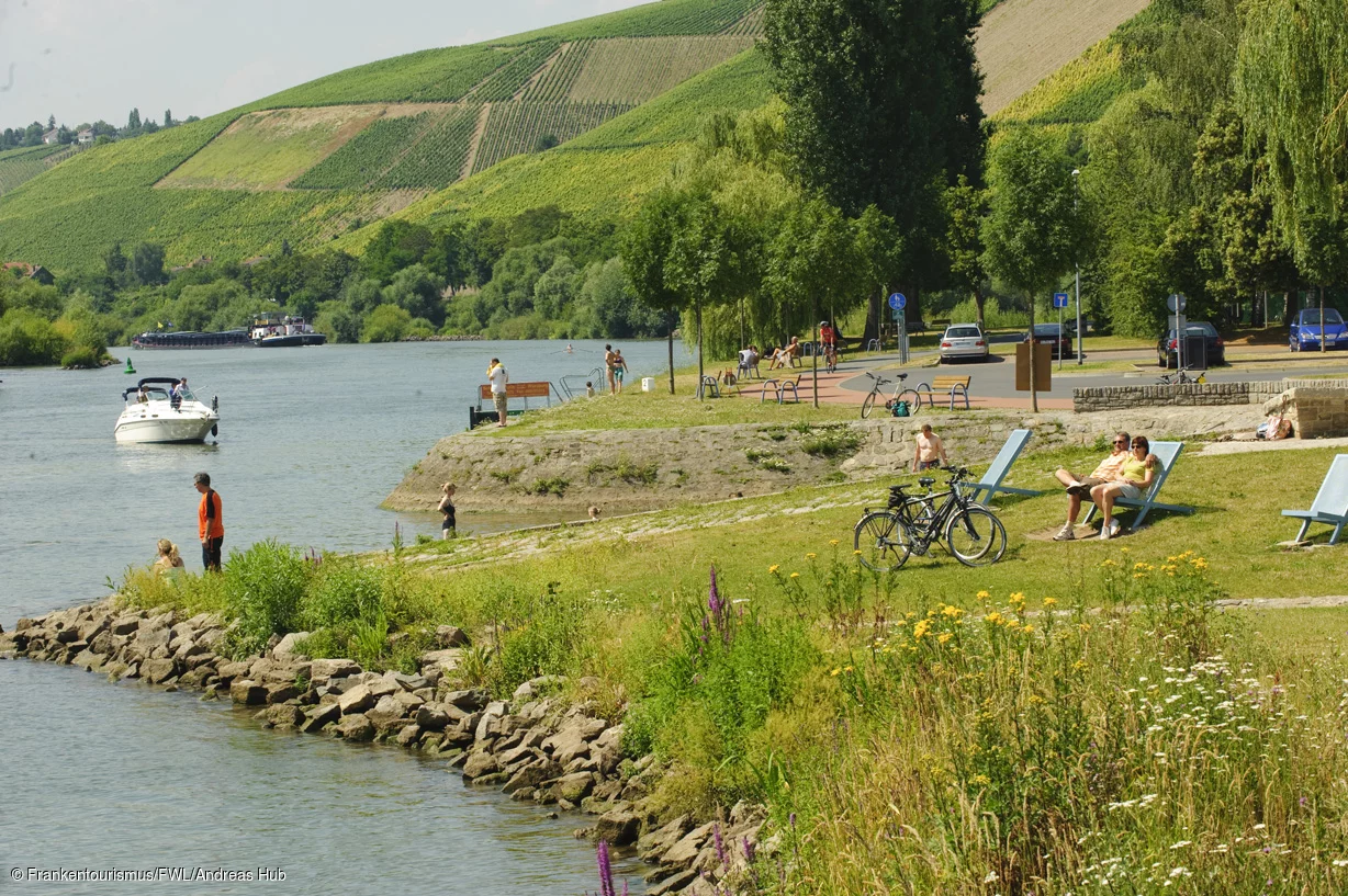 Main Radweg bei Randersacker