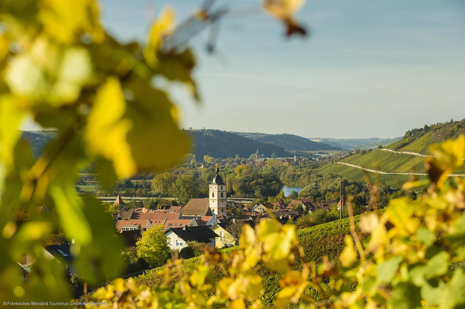 Blick auf Sommerhausen und Eibelstadt