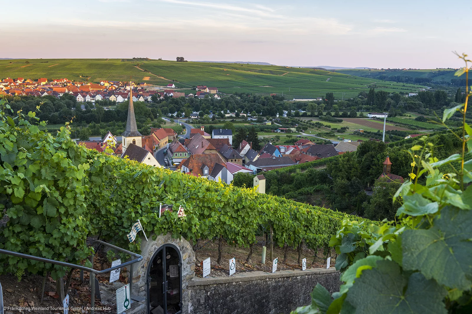 Blick auf Escherndorf und Nordheim am Main