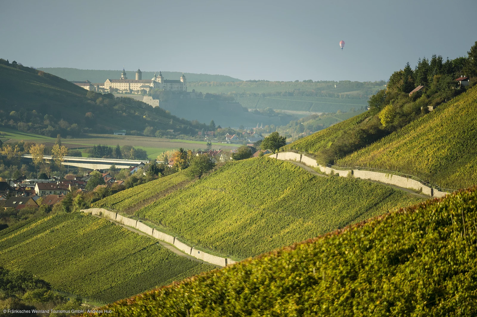 Blick von den Weinbergen auf die Festung Marienberg