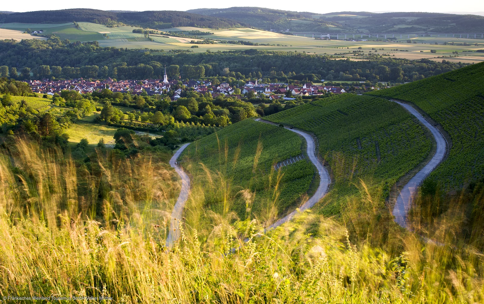 Blick auf Thüngersheim