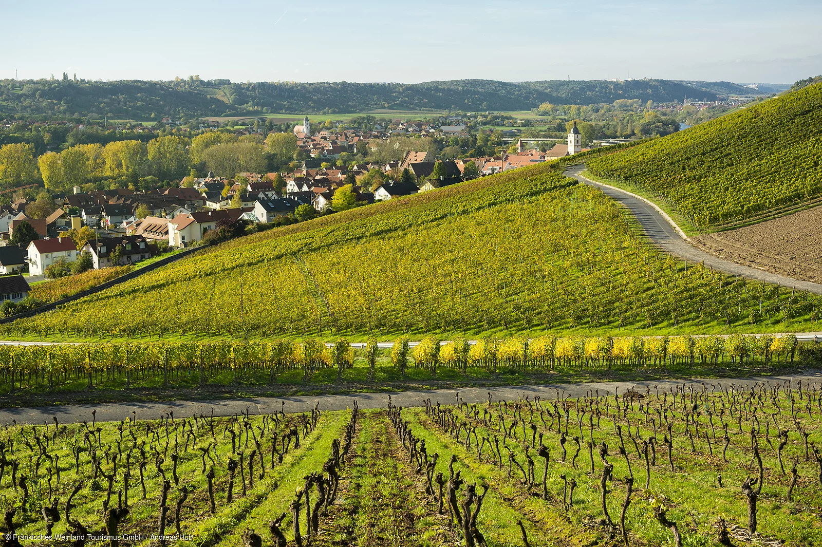 Blick auf Sommerhausen und Winterhausen