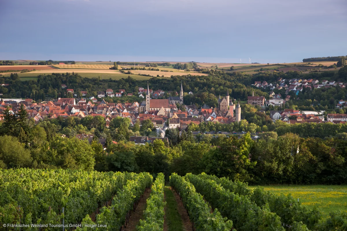 Blick auf Ochsenfurt