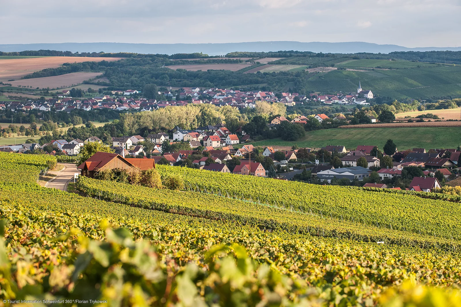 Blick auf Wipfeld