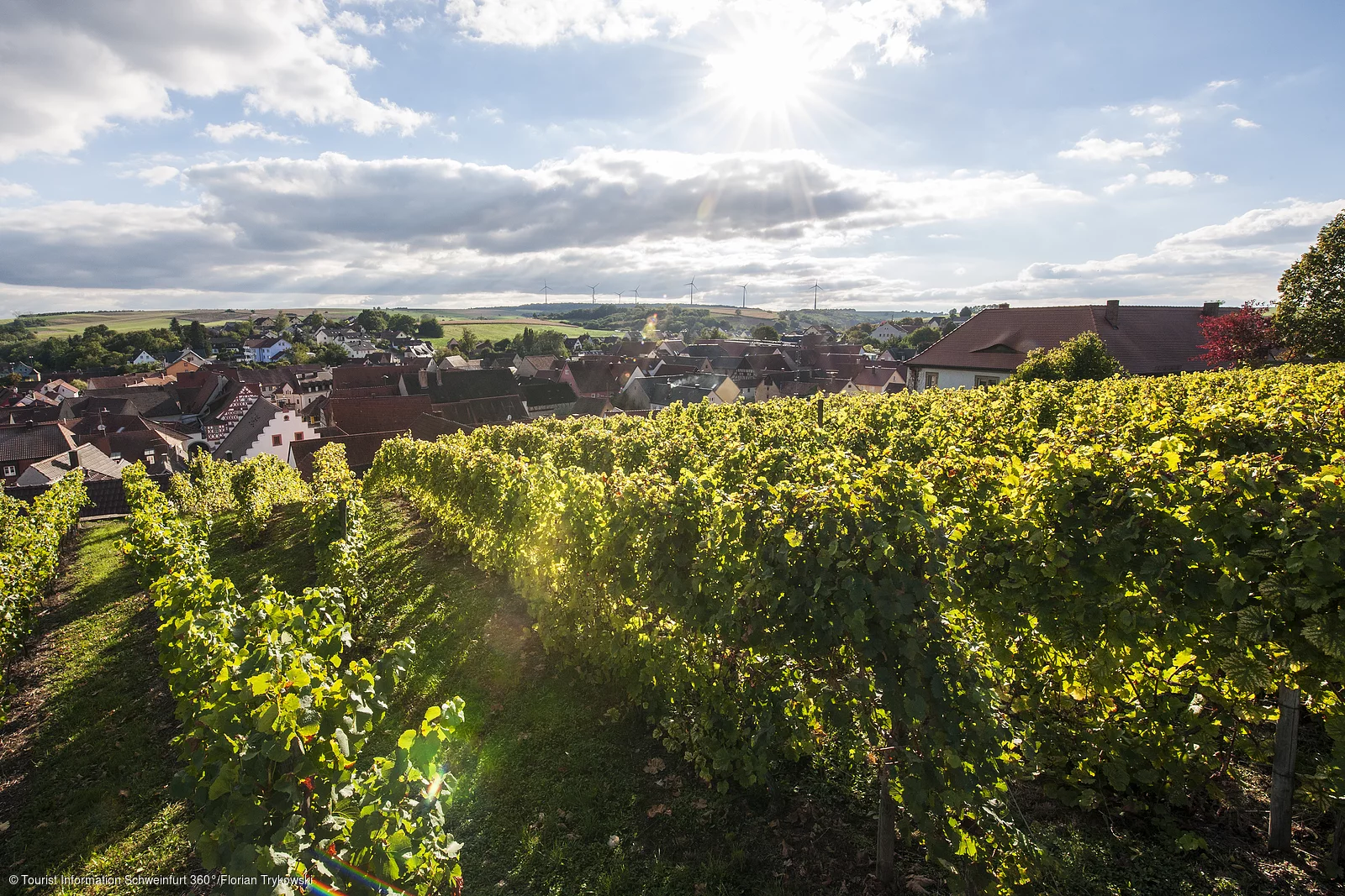 Blick auf Wipfeld