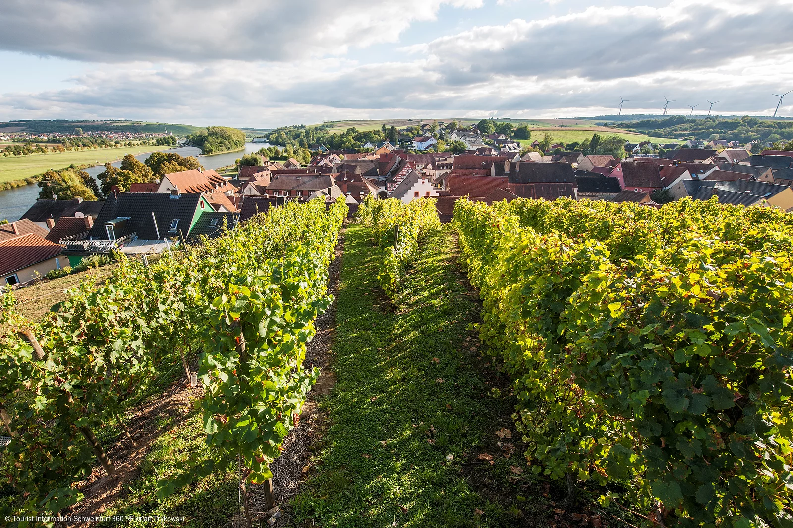 Blick auf Wipfeld