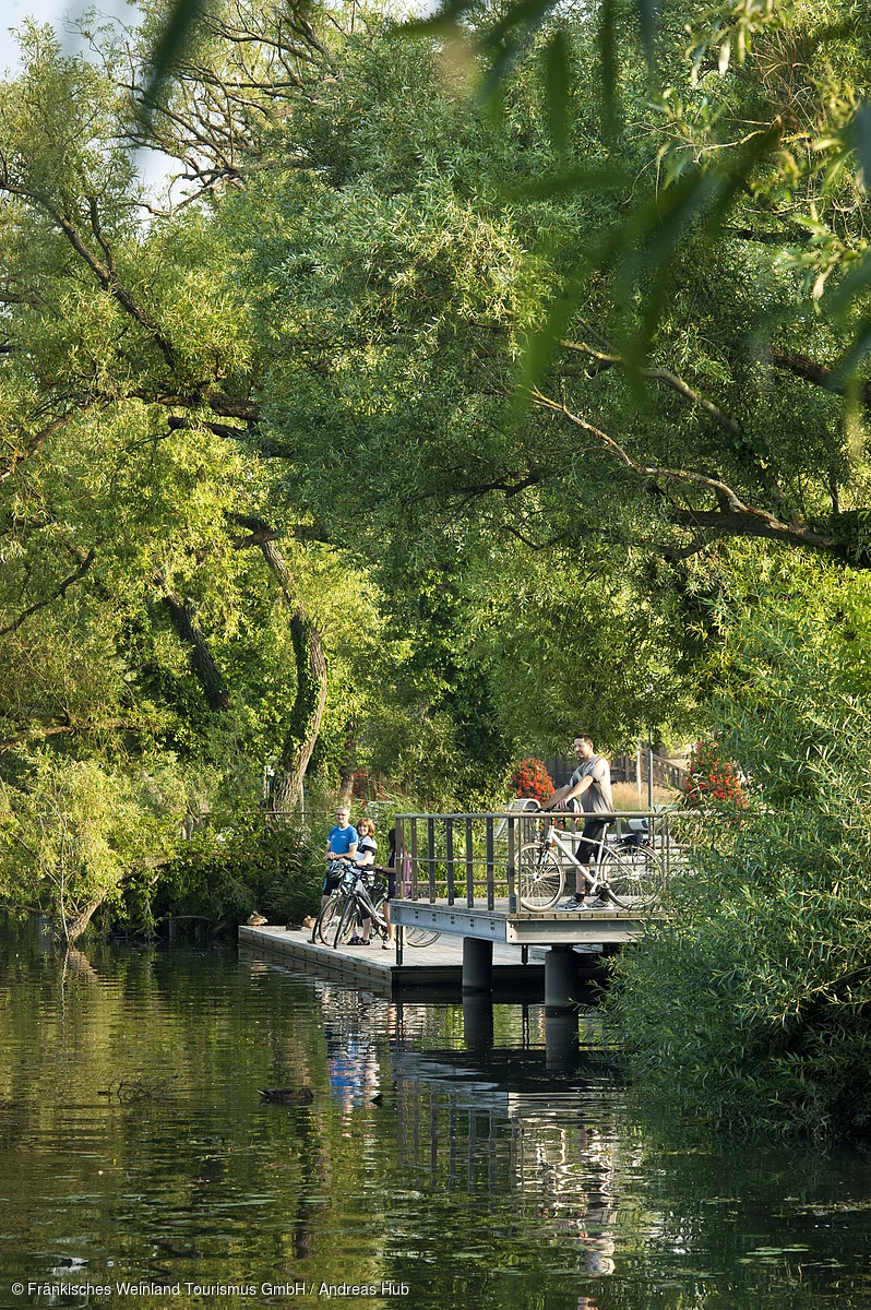 Mainradweg in Kitzingen